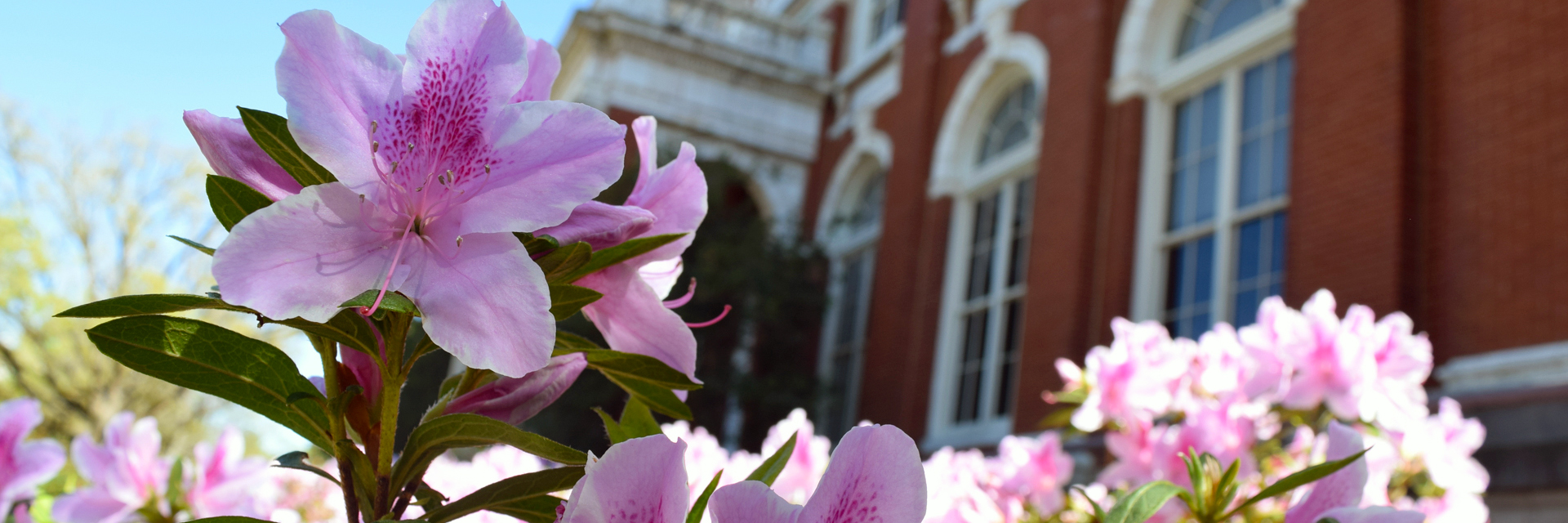 Comer-Hall-Auburn-University-Alabama-College-of-Agriculture-Spring-Flowers-20190401-9801-sm